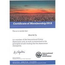 The International Cotton Association